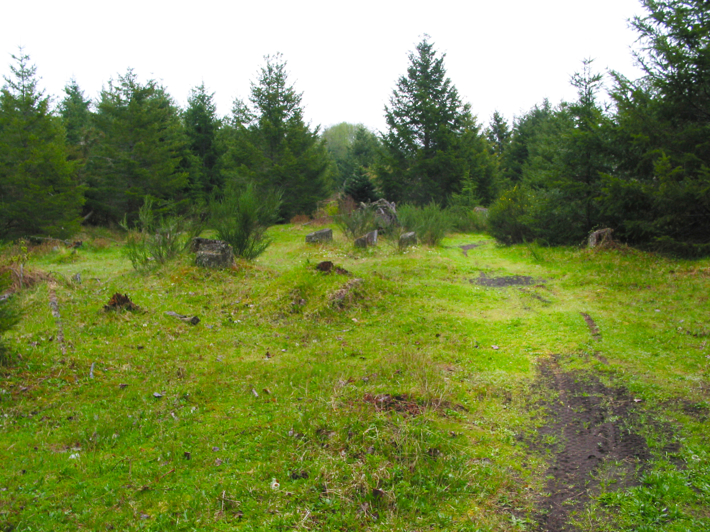 Greenwater  Trails east